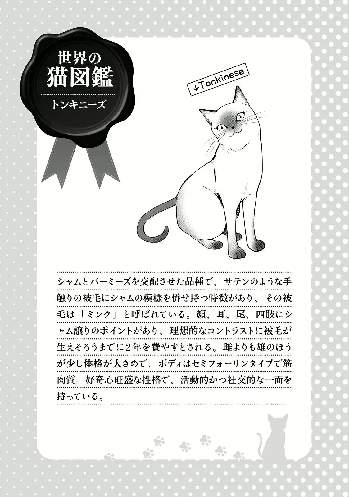 Hentai Ouji to Warawanai Neko Chapter 37 page 12 - Chapter 37: The Church's Sindbad (5)