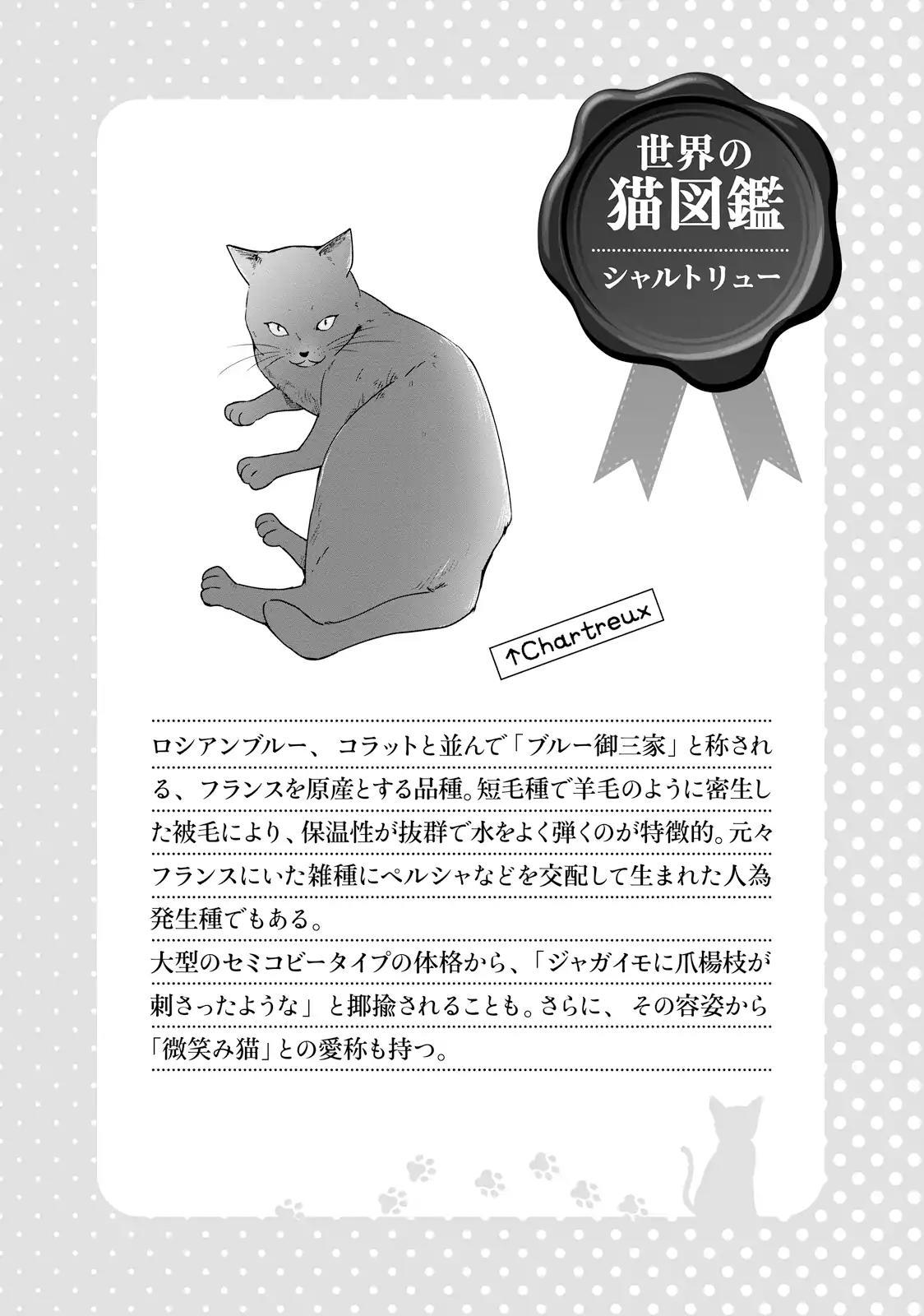 Hentai Ouji to Warawanai Neko Chapter 40 page 22 - Chapter 40: The Church's Sindbad (8)