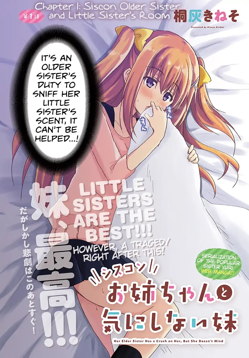 Her Elder Sister Has a Crush on Her, But She Doesn't Mind Chapter 1 page 3 - Chapter 1: Siscon Older Sister and Little Sister's Room