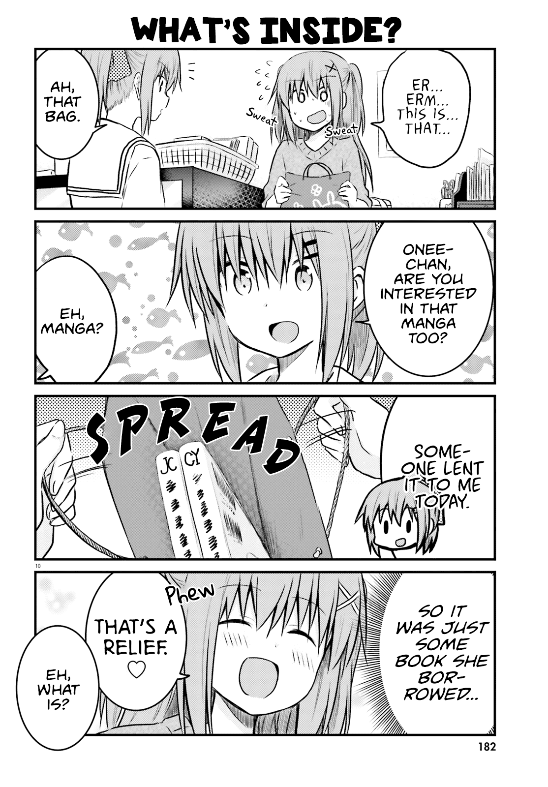 Her Elder Sister Has a Crush on Her, But She Doesn't Mind Chapter 11 page 10 - Chapter 11: Siscon Elder Sister and Mysterious Bag