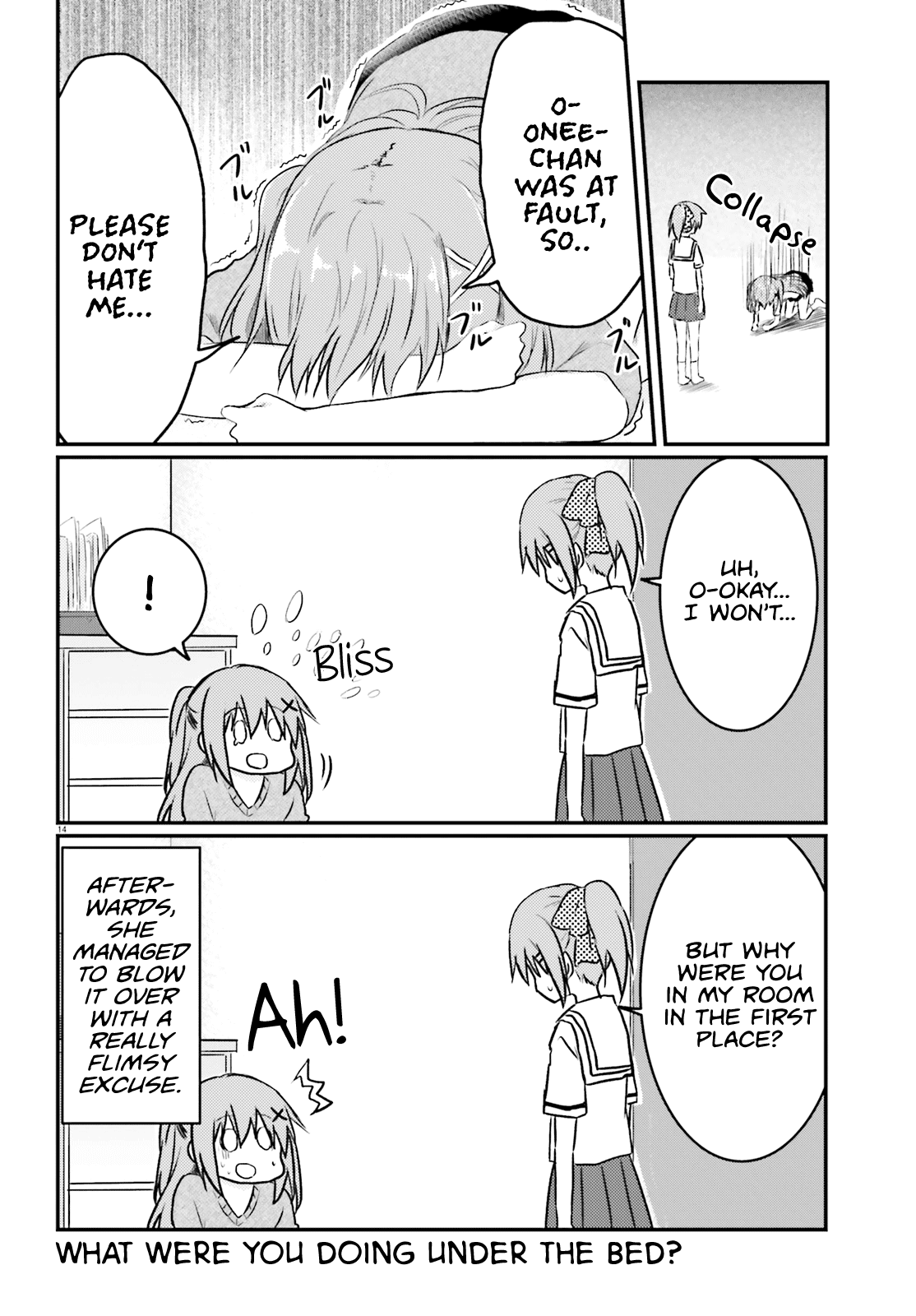 Her Elder Sister Has a Crush on Her, But She Doesn't Mind Chapter 11 page 14 - Chapter 11: Siscon Elder Sister and Mysterious Bag