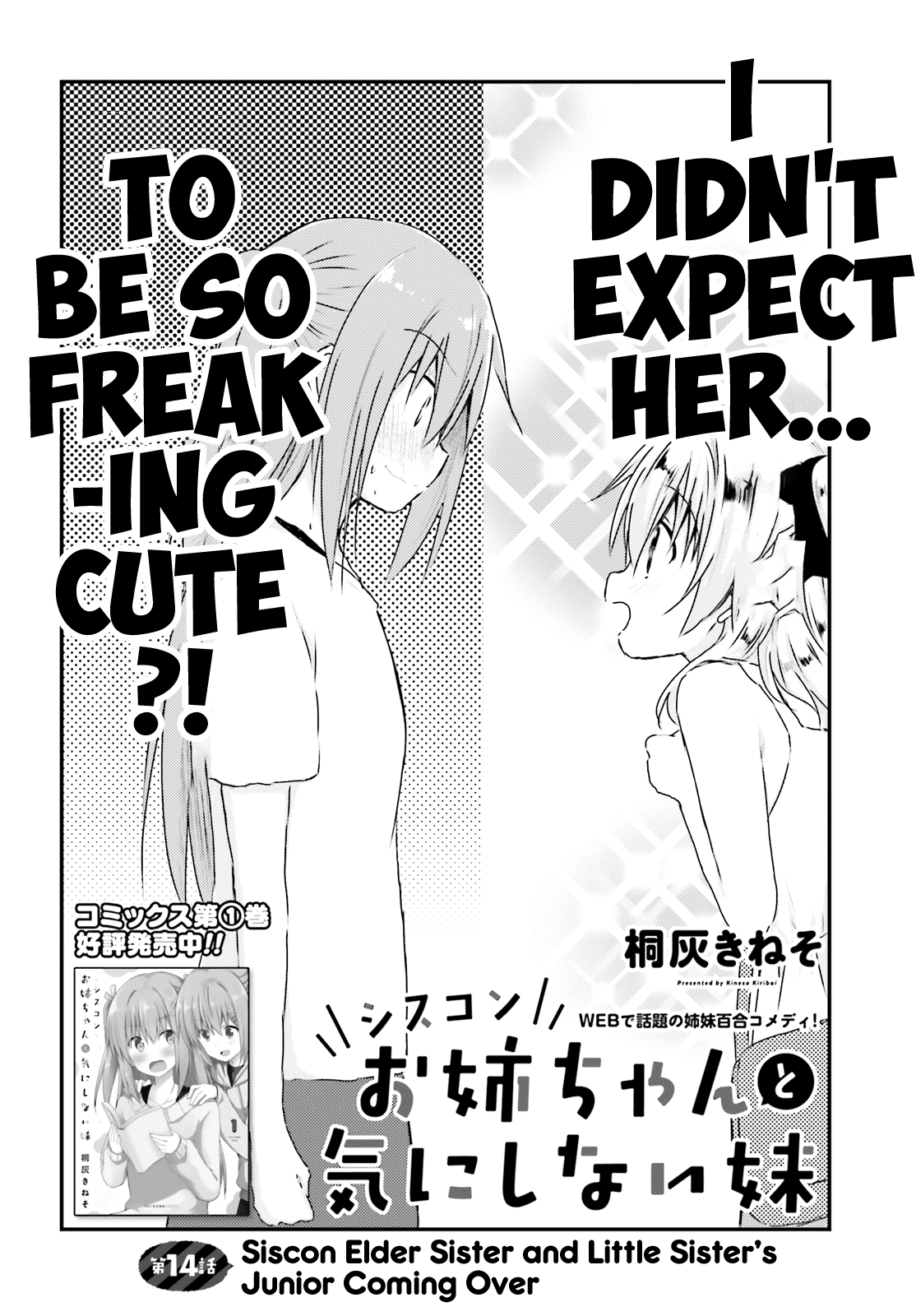 Her Elder Sister Has a Crush on Her, But She Doesn't Mind Chapter 14 page 4 - Chapter 14: Siscon Elder Sister and Little Sister's Junior Coming Over