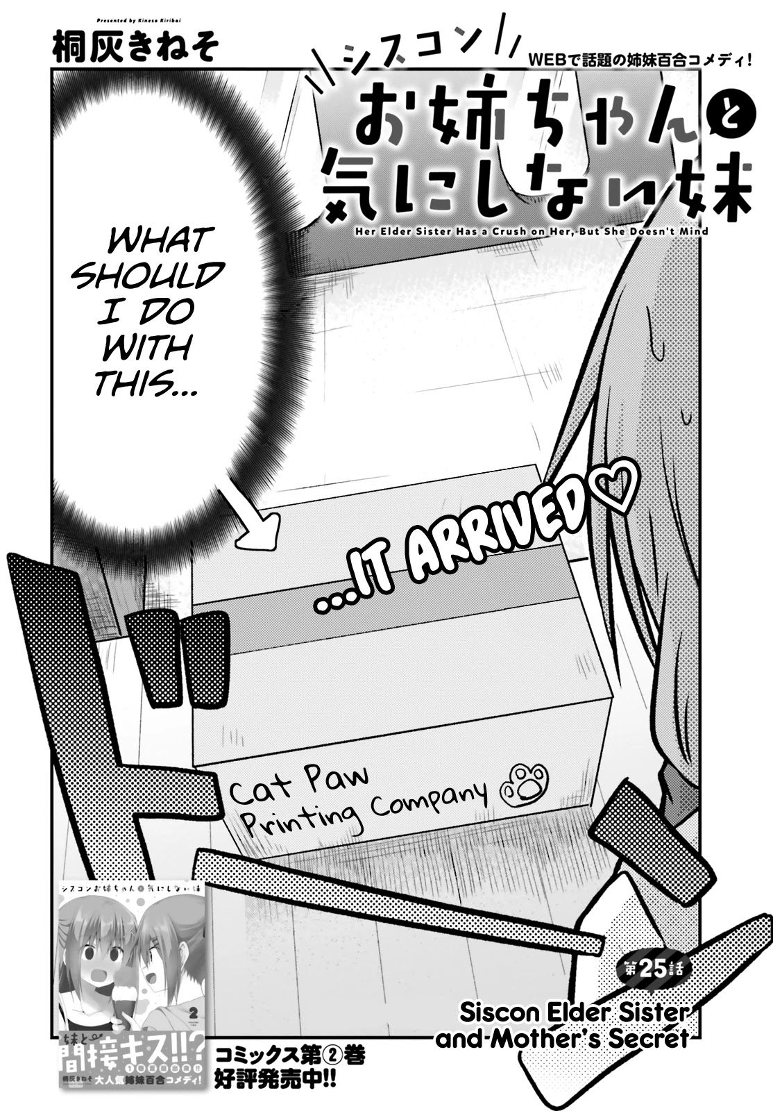 Her Elder Sister Has a Crush on Her, But She Doesn't Mind Chapter 25 page 2 - Chapter 25: Siscon Elder Sister and Mother's Secret