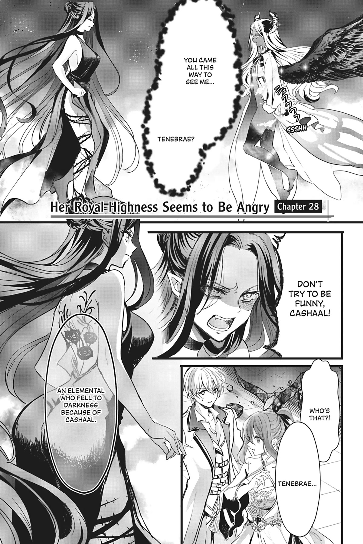 Her Royal Highness Seems To Be Angry Chapter 28 page 1 - Chapter 28 [END]