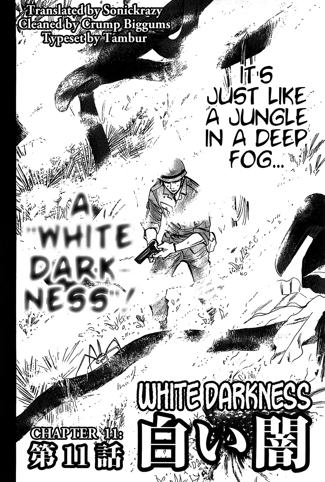 Hero - Gyakkyou no Touhai Chapter 11 page 2 - Chapter 11: White Darkness