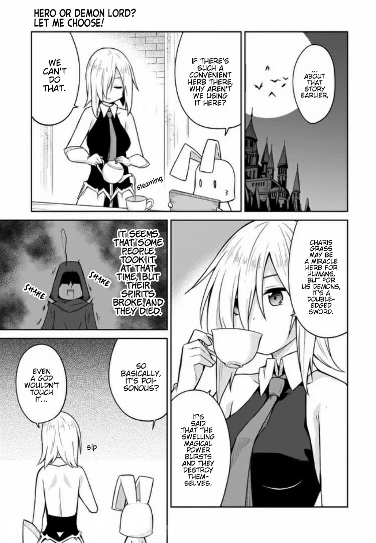 Hero or Demon Lord? Let me choose! Chapter 9 page 15 - Chapter 9