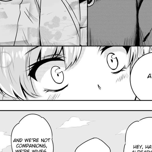 Hero's Marriage Chapter 35.5 cover