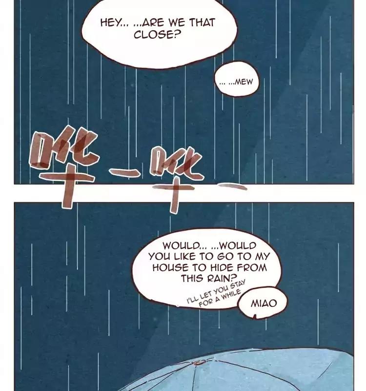 Hey, Your Cat Ears are Showing! Chapter 15.5 page 12 - Chapter 15.5
