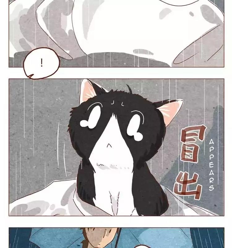 Hey, Your Cat Ears are Showing! Chapter 15.5 page 5 - Chapter 15.5