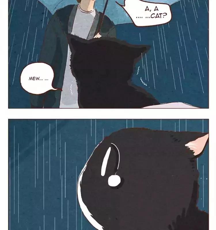 Hey, Your Cat Ears are Showing! Chapter 15.5 page 6 - Chapter 15.5