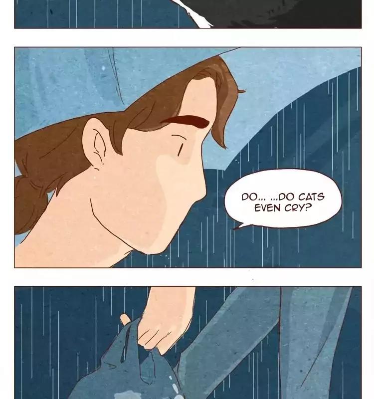 Hey, Your Cat Ears are Showing! Chapter 15.5 page 7 - Chapter 15.5