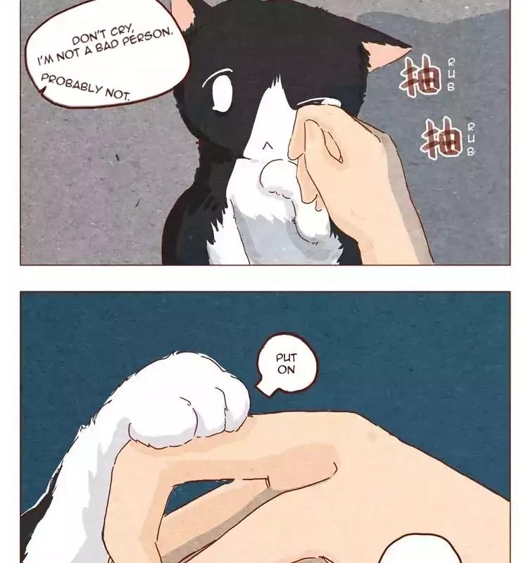 Hey, Your Cat Ears are Showing! Chapter 15.5 page 9 - Chapter 15.5
