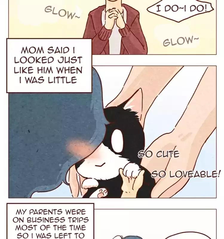 Hey, Your Cat Ears are Showing! Chapter 20.5 page 2 - Chapter 20.5: My brother is super cute!