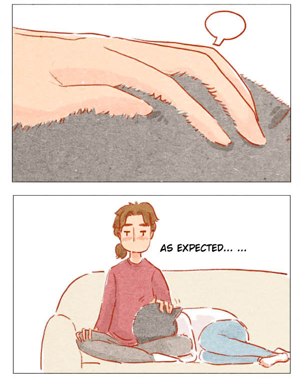 Hey, Your Cat Ears are Showing! Chapter 4 page 2 - Chapter 4