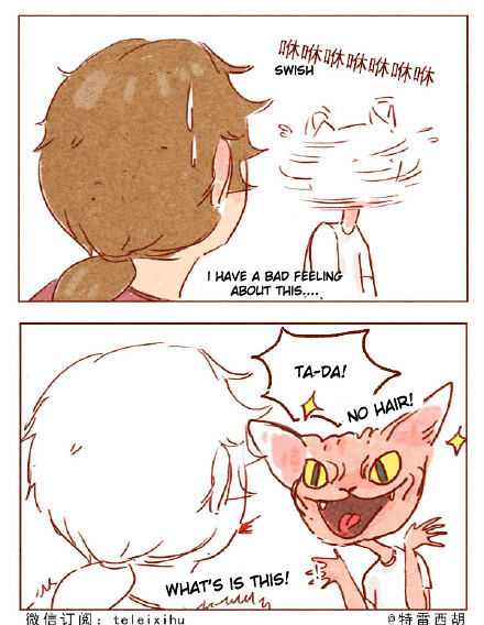Hey, Your Cat Ears are Showing! Chapter 5 page 3 - Chapter 5