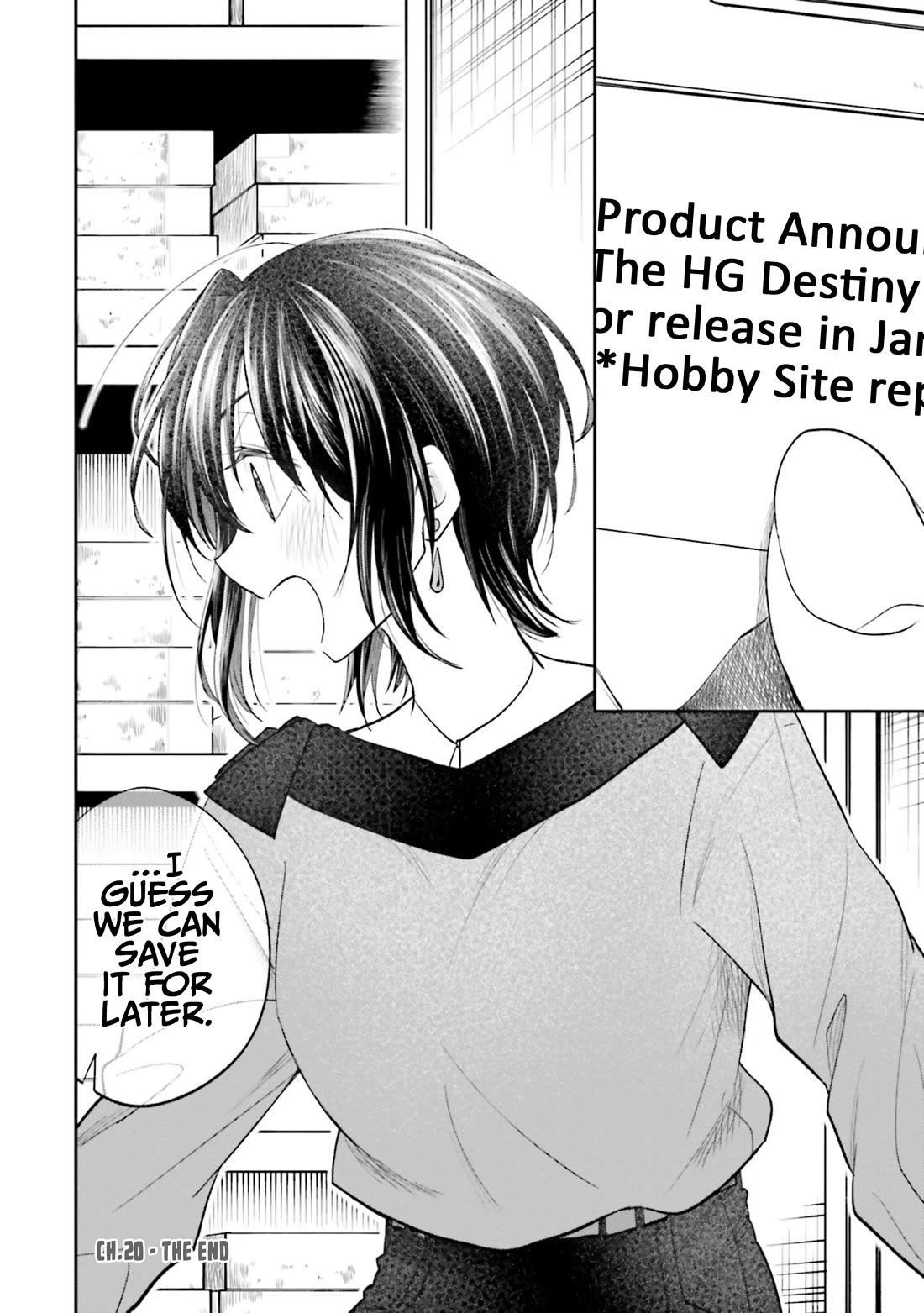 HG ni Koisuru Futari Chapter 20 page 14 - Chapter 20