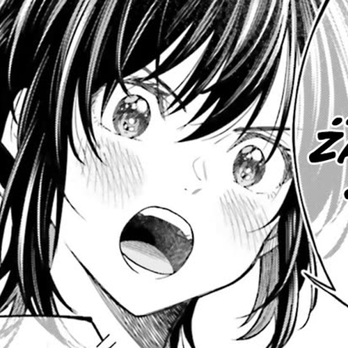 HG ni Koisuru Futari Chapter 32.5 cover