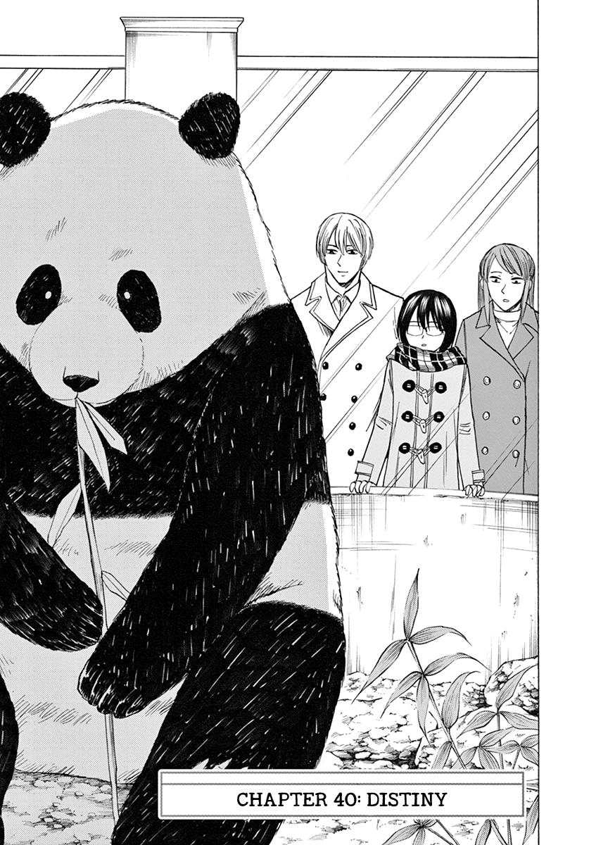 Hibiki - Shousetsuka ni Naru Houhou Chapter 40 page 1 - Chapter 40: Distiny.