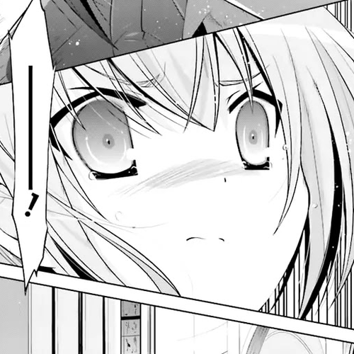 Hidan no Aria Chapter 62: Meaning of the 1st Article of the Butei Law cover