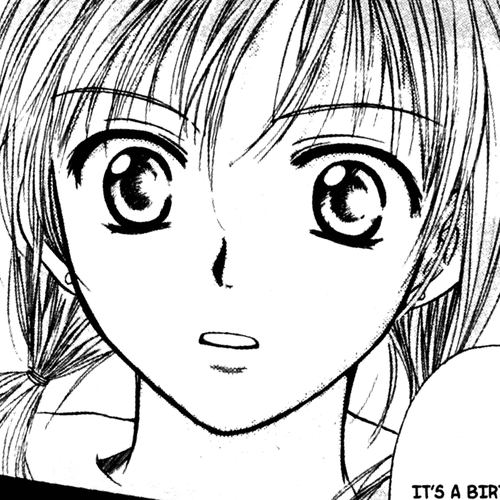 High School Girls Chapter 56 cover