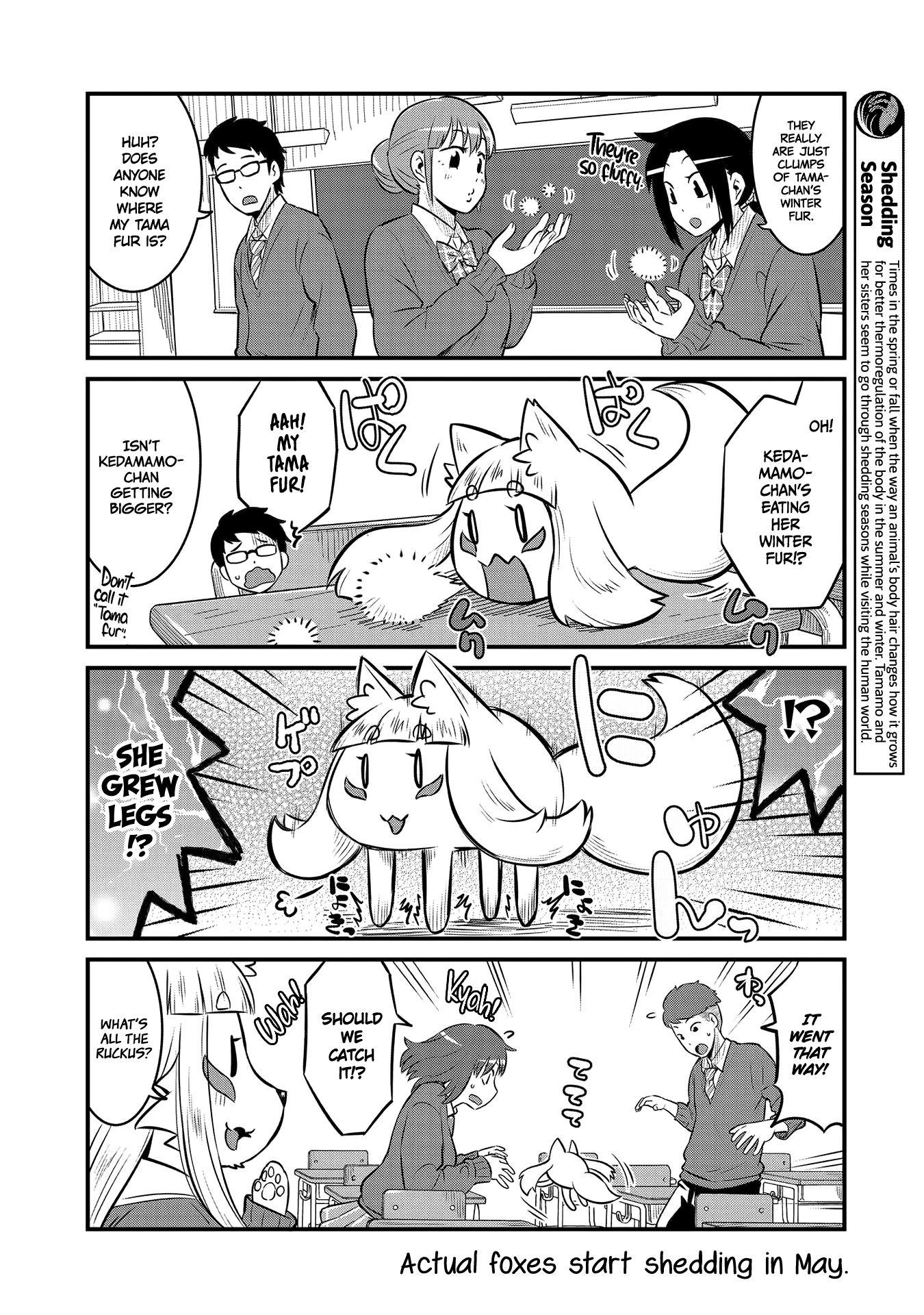 High School Inari Tamamo-chan! Chapter 62 page 6 - Chapter 62