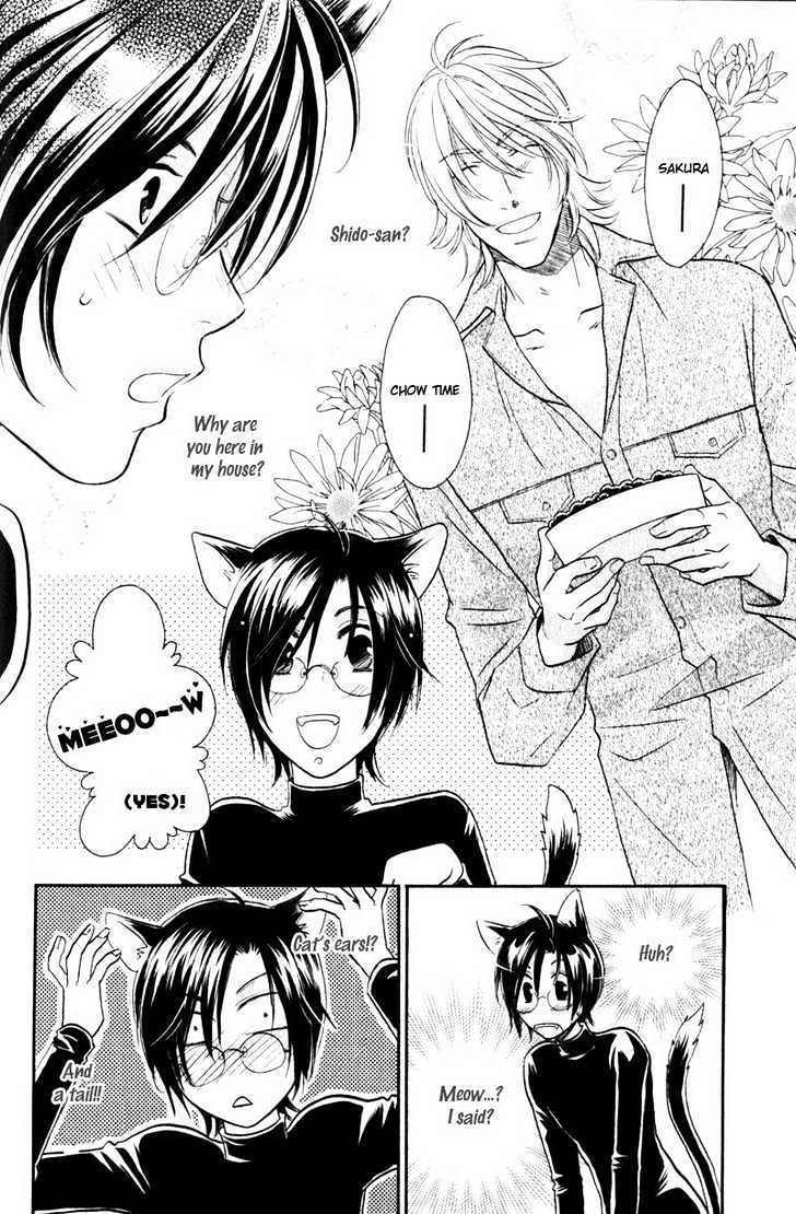 Hikari to Yami no Logic Chapter 2 page 7 - Chapter 2 : File 2