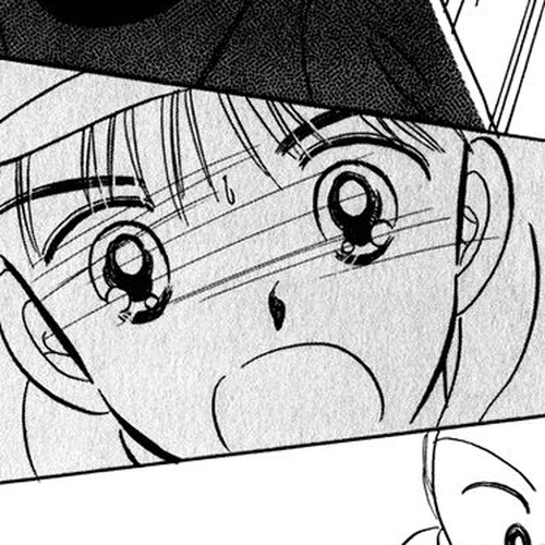 Hime-chan no Ribon Chapter 38.5 cover