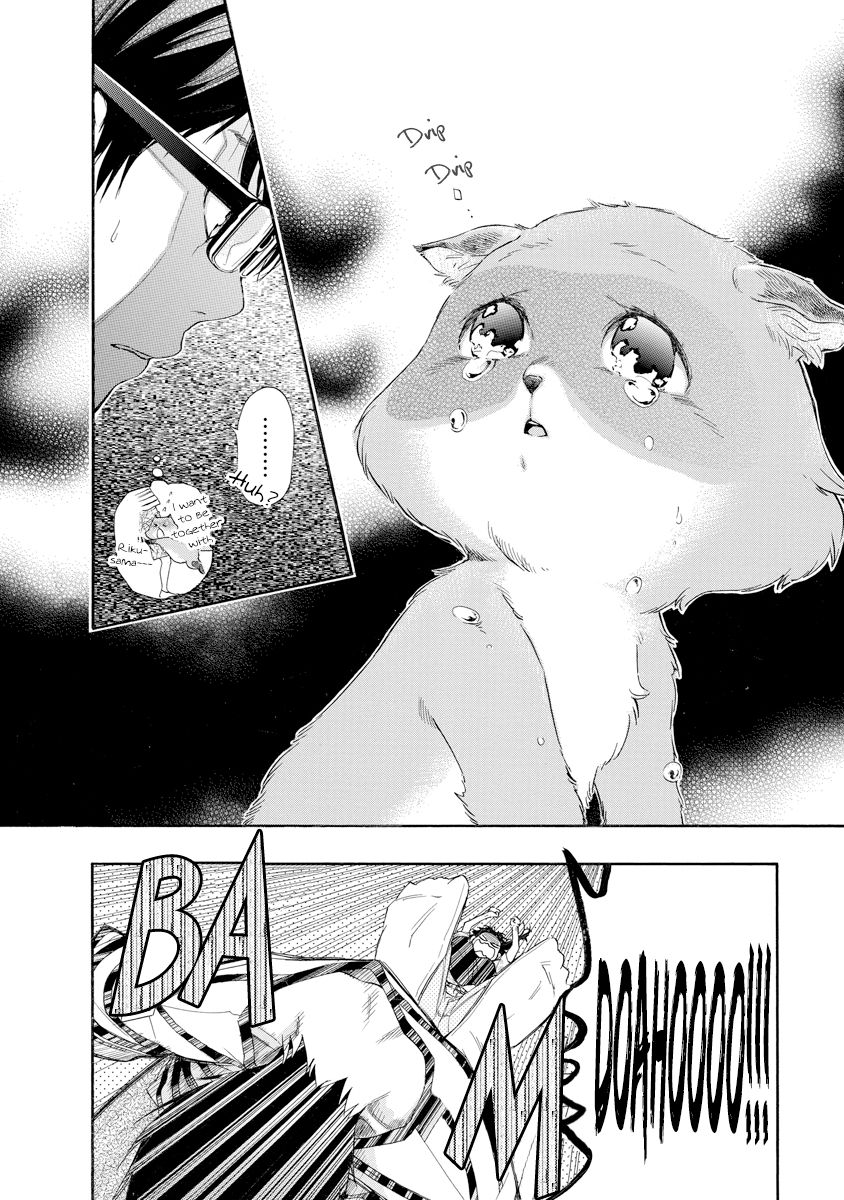 Hime-sama Tanuki no Koizanyou Chapter 11 page 6 - Chapter 11 : Wanting Embrace, the True Story of the Tanuki