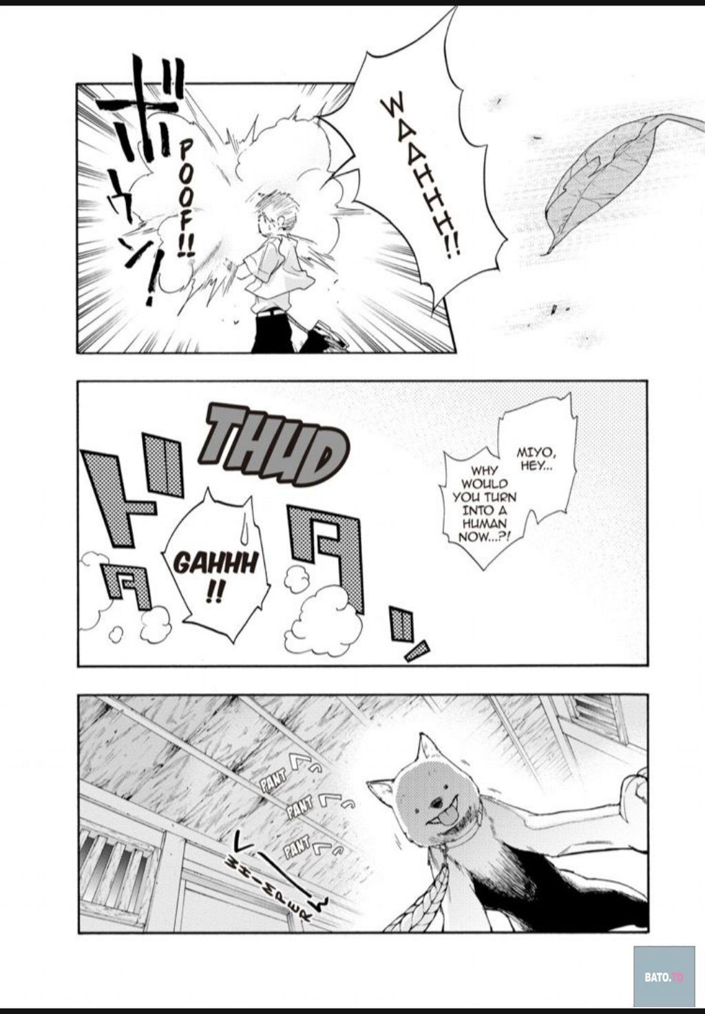 Hime-sama Tanuki no Koizanyou Chapter 41 page 17 - Chapter 41