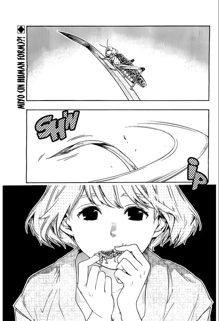 Hime-sama Tanuki no Koizanyou Chapter 5 page 2 - Chapter 5 : Between Calmness and Tanuki