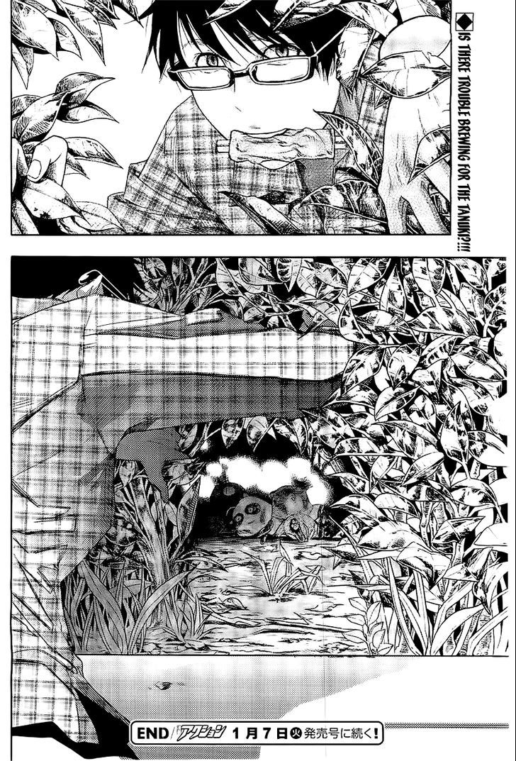 Hime-sama Tanuki no Koizanyou Chapter 5 page 21 - Chapter 5 : Between Calmness and Tanuki