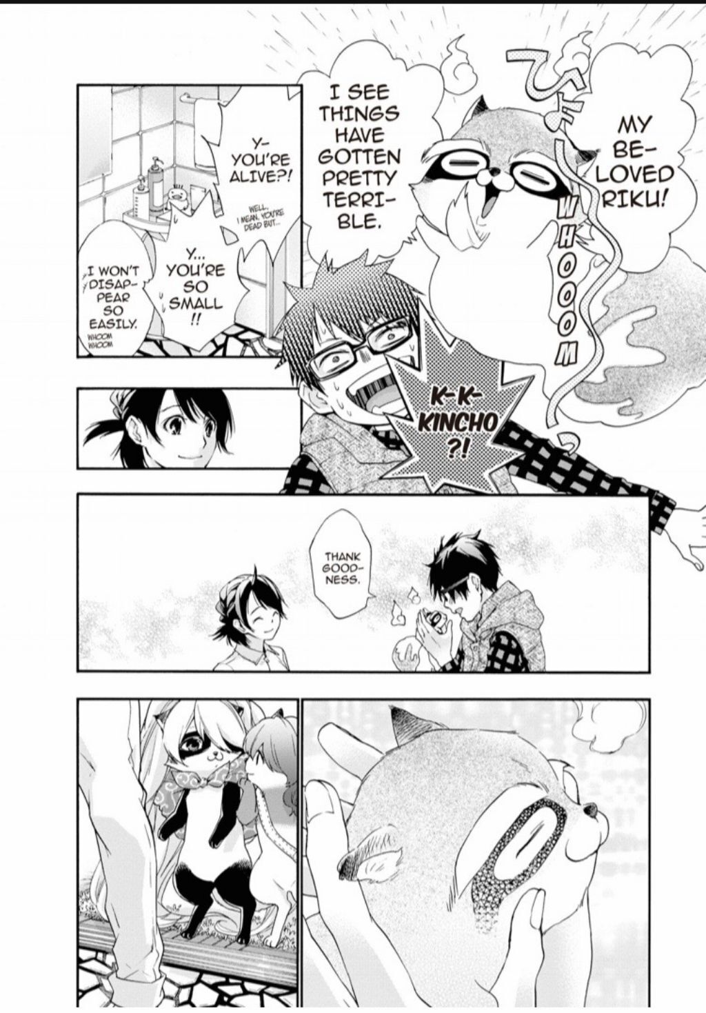 Hime-sama Tanuki no Koizanyou Chapter 70 page 13 - Chapter 70