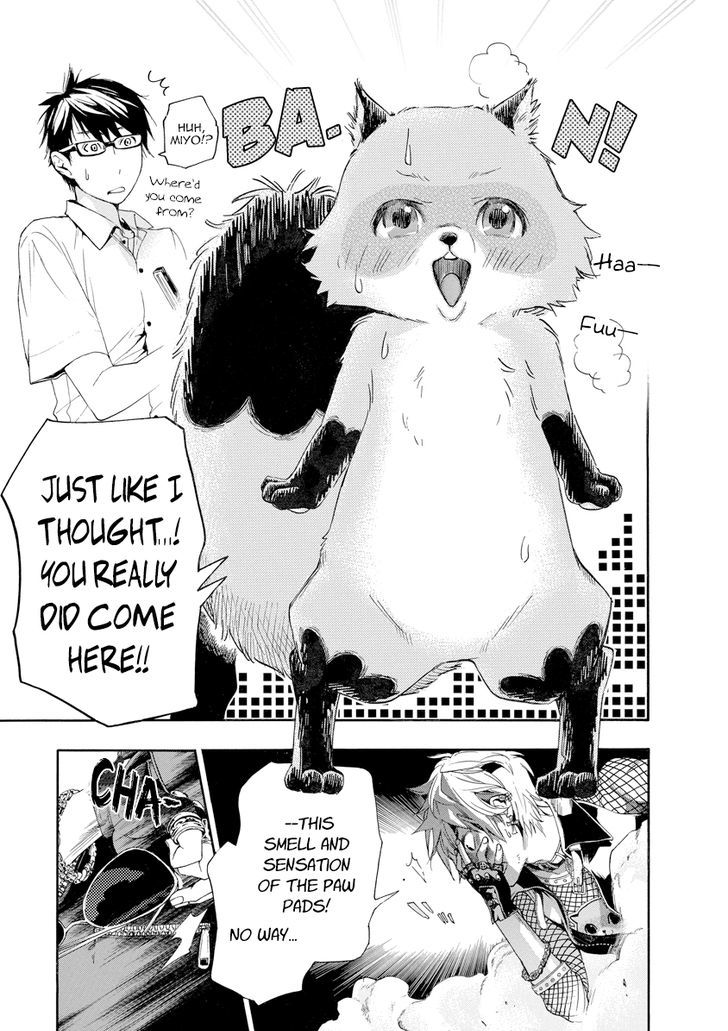 Hime-sama Tanuki no Koizanyou Chapter 9 page 18 - Chapter 9 : The Tanuki Assassin