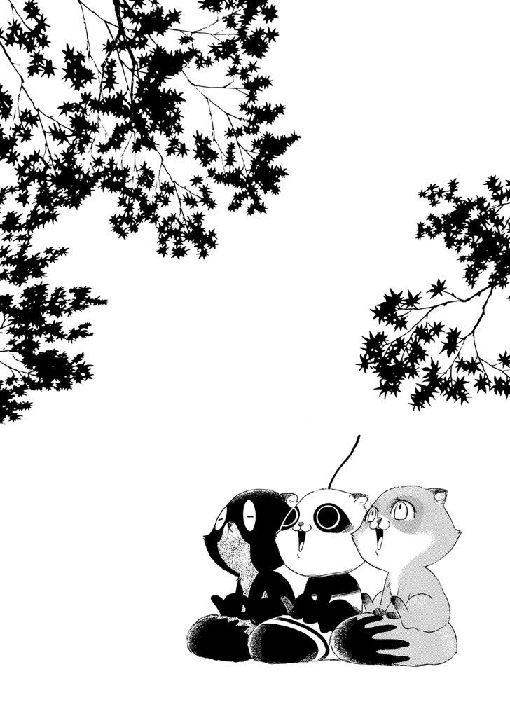 Hime-sama Tanuki no Koizanyou Chapter 9 page 3 - Chapter 9 : The Tanuki Assassin