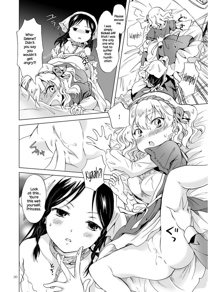 Hime-sama to Dorei-chan Chapter 1 page 29 - Chapter 1