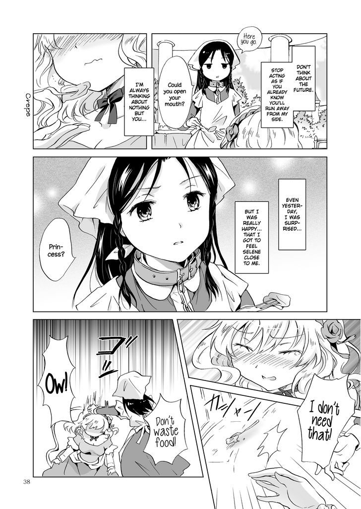 Hime-sama to Dorei-chan Chapter 1 page 37 - Chapter 1