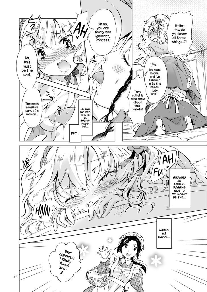 Hime-sama to Dorei-chan Chapter 1 page 41 - Chapter 1