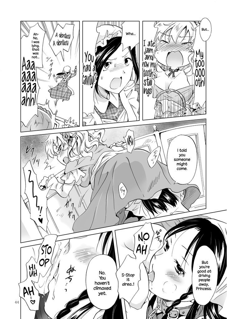 Hime-sama to Dorei-chan Chapter 1 page 43 - Chapter 1