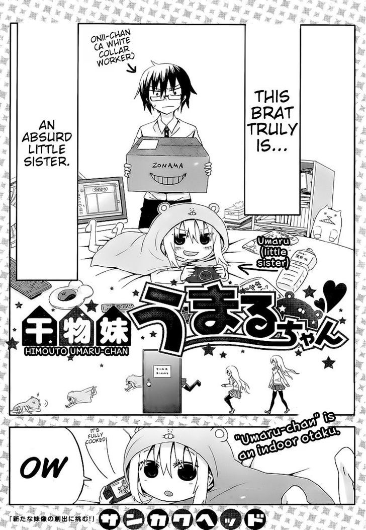 Himouto! Umaru-chan Chapter 0 page 3 - Chapter 0 : Prologue