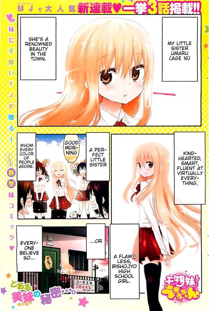 Himouto! Umaru-chan Chapter 1 page 2 - Chapter 1 : Umaru and Onii-chan