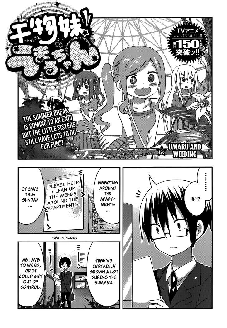 Himouto! Umaru-chan Chapter 120 page 2 - Chapter 120 : Umaru and Weeding