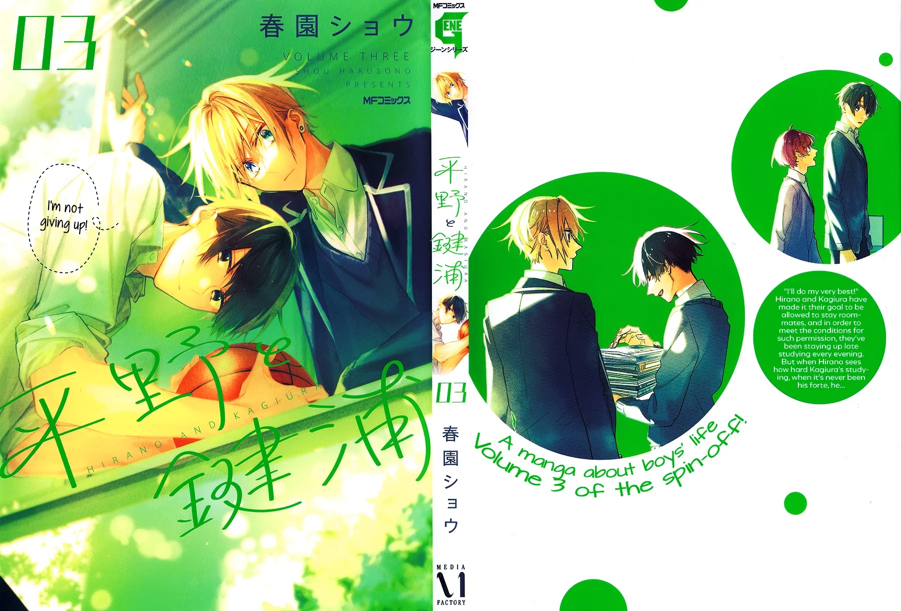 Hirano to Kagiura Chapter 15.5 page 2 - Chapter 15.5: extra