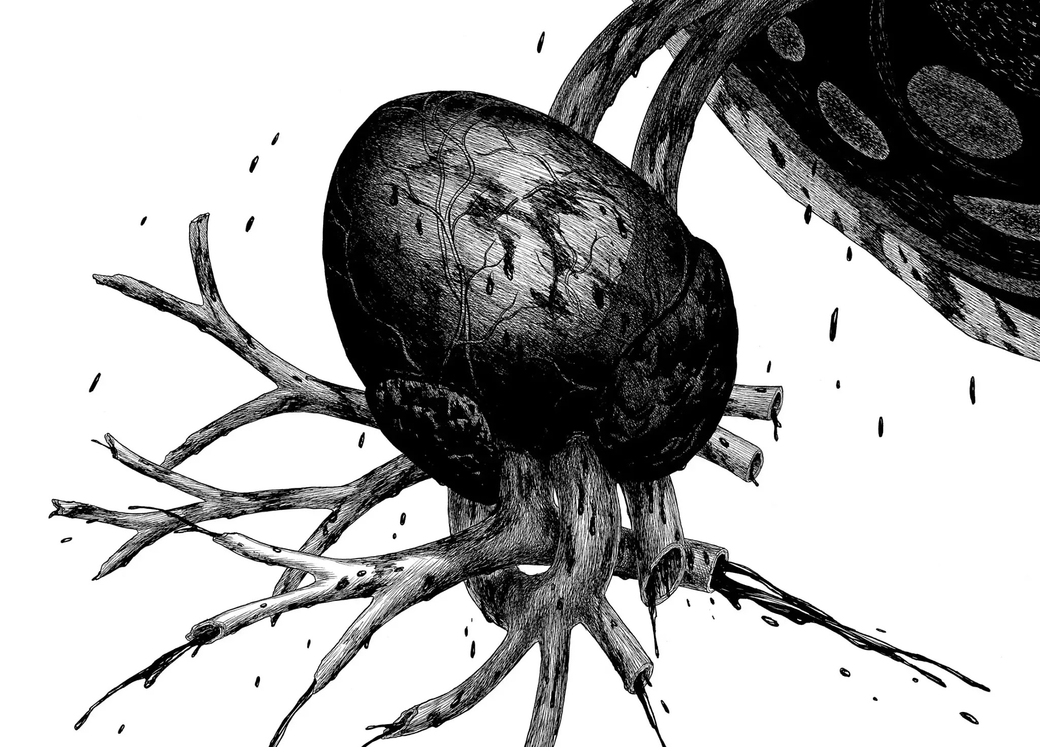 Historie Chapter 115 page 11 - Chapter 115: Cardia (Heart) (4)