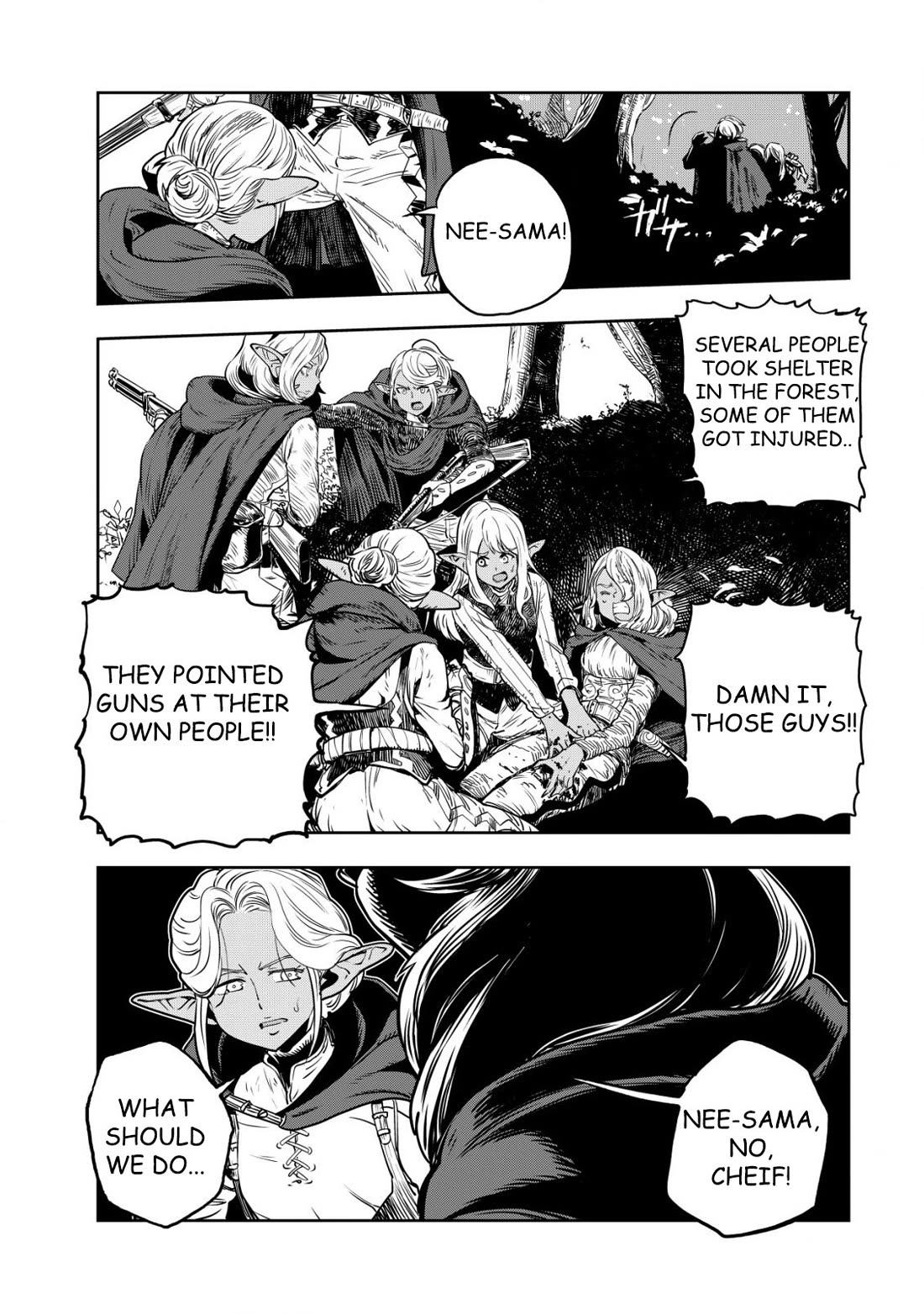 History of the Kingdom of the Orcsen: How the Barbarian Orcish Nation Came to Burn Down the Peaceful Elfland Chapter 1 page 19 - Chapter 1