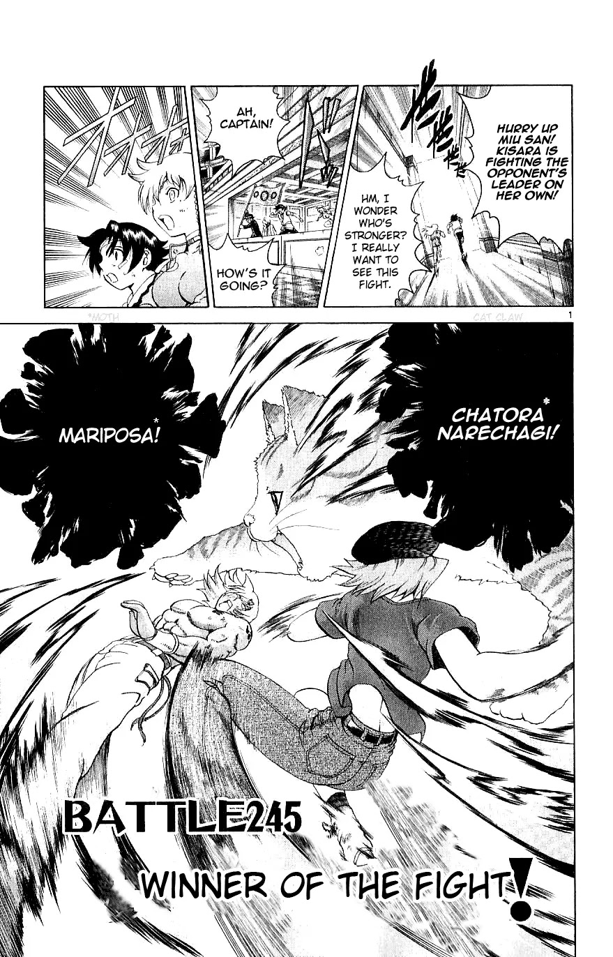 History's Strongest Disciple Kenichi Chapter 245 page 1 - Chapter 245: Winner of the Fight!