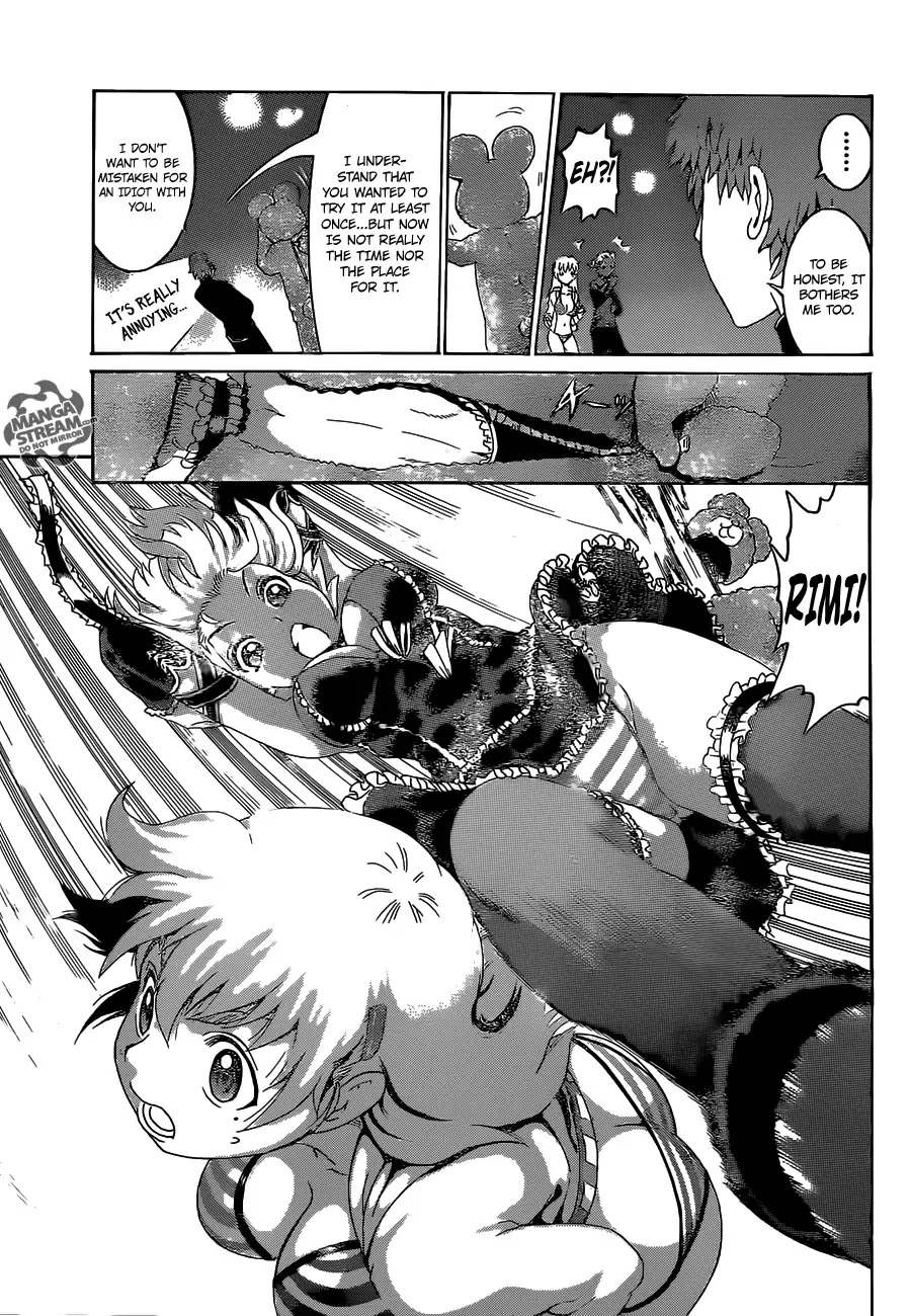 History's Strongest Disciple Kenichi Chapter 499 page 17 - Chapter 499 : The ones who stand in the shadows of the arts