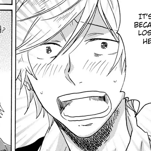 Hitorijime My Hero Chapter 15.5 cover