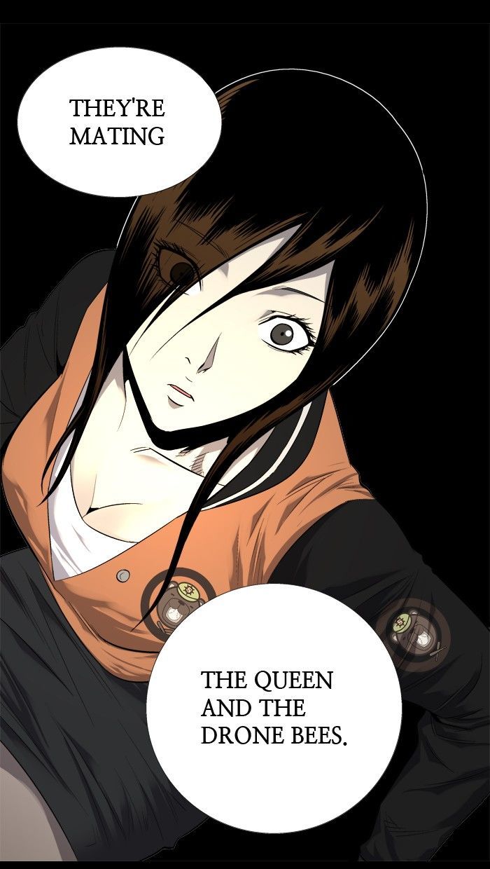 Hive Chapter 72 page 81 - Chapter 72