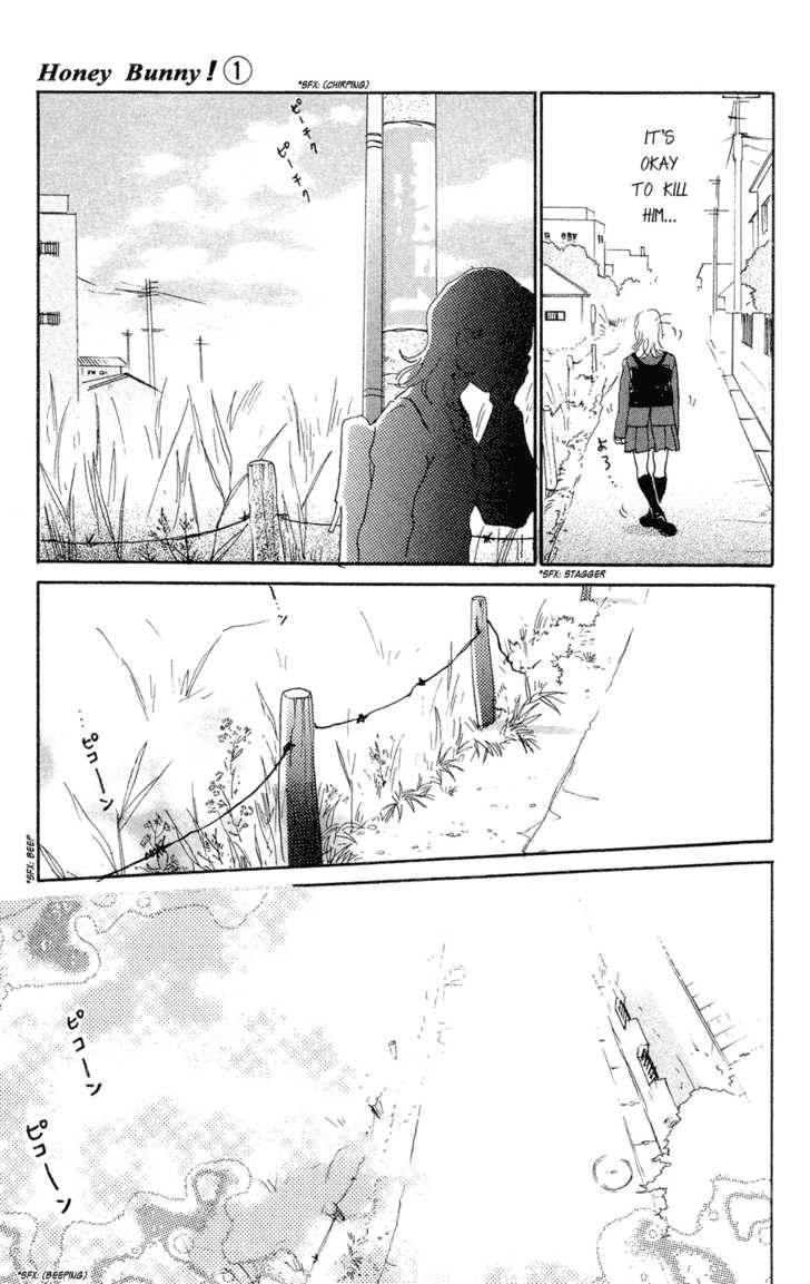 Honey Bunny! Chapter 1 page 17 - Chapter 1