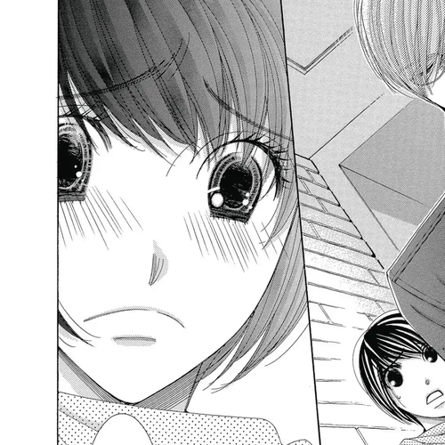 Honey Hunt Chapter 29 cover